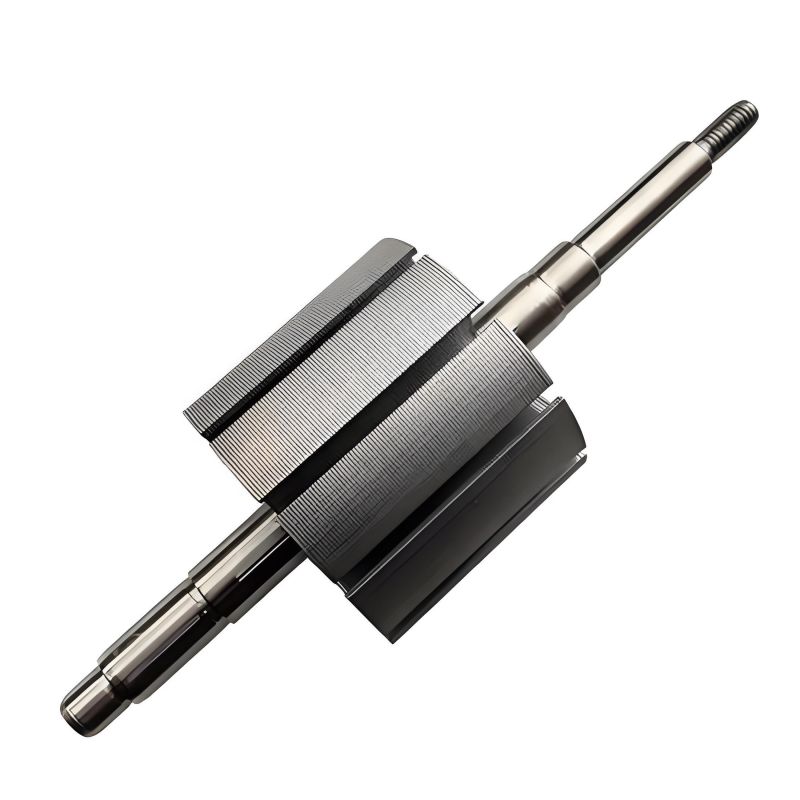 Rotor motoru